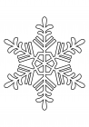 Snowflake 59