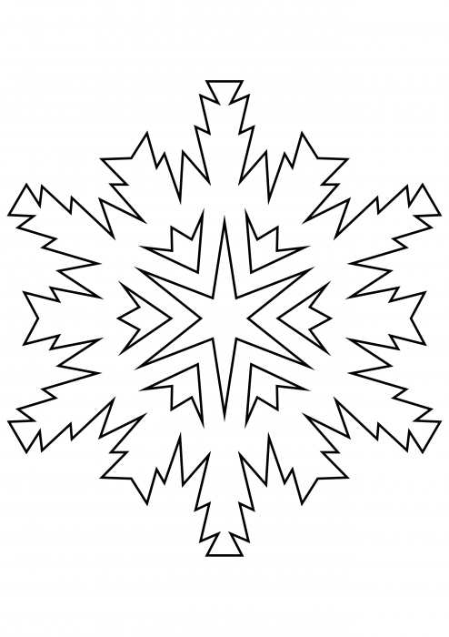 Snowflake 9