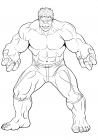 Bruce Banner / Hulk