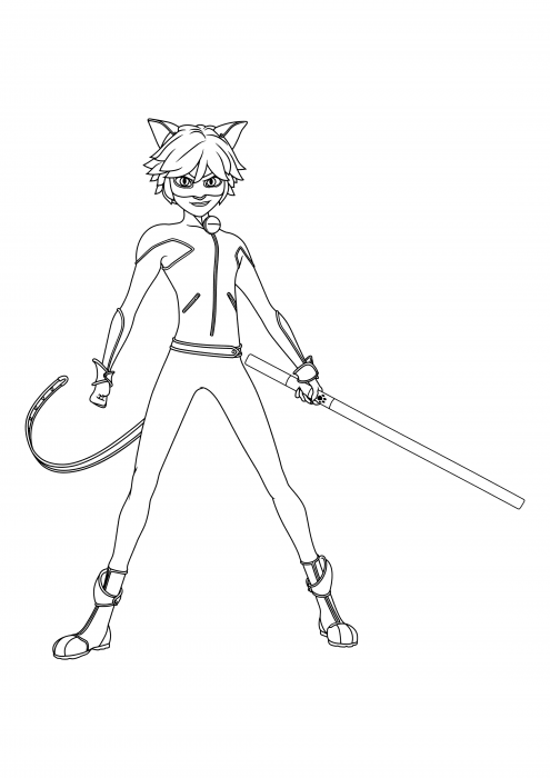 Cat Noir with a staff