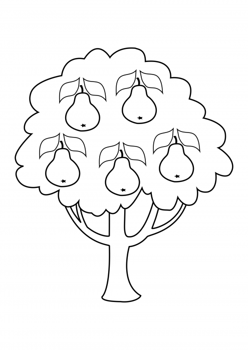  Грушевое дерево