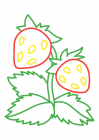 Căpșuni coapte