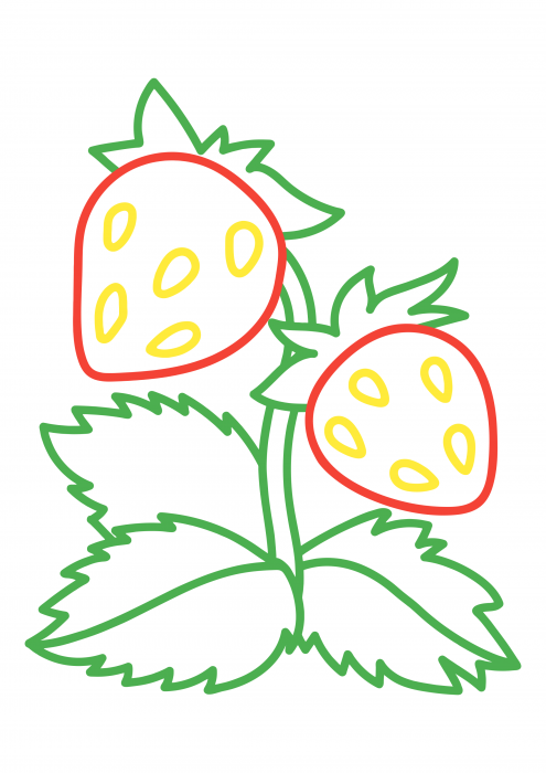 Ripe strawberry
