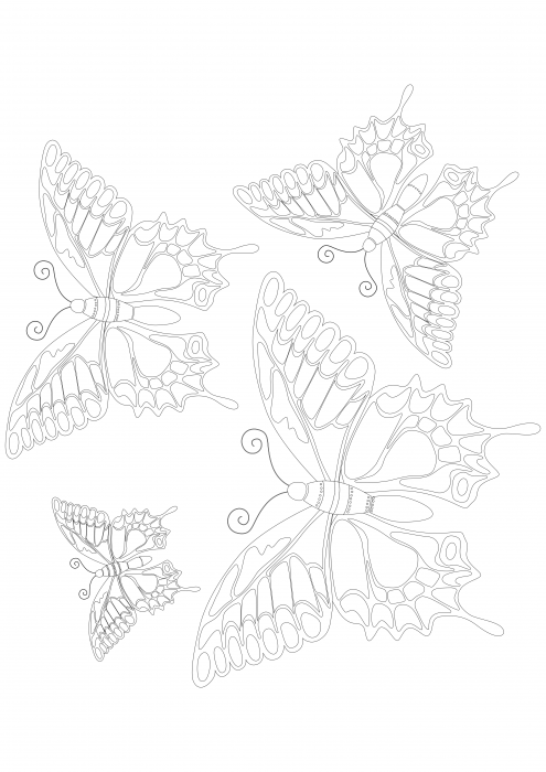 Vlinders met patroon 2