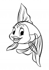 Cleo fish