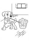 Assistent-puppy helpt bij het wassen