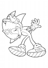 Sonic the Hedgehog performed a somersault