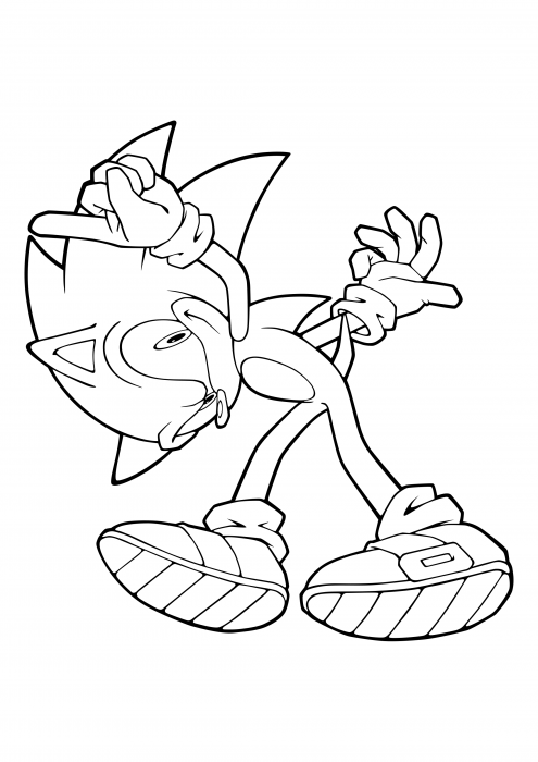 Sonic the Hedgehog performed a somersault