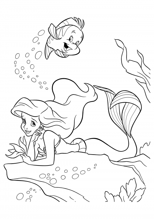 Ariel e Flounder