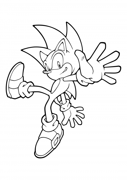 Sonic the Hedgehog приземляется