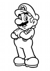 Plumber Mario
