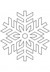 Snowflake 29