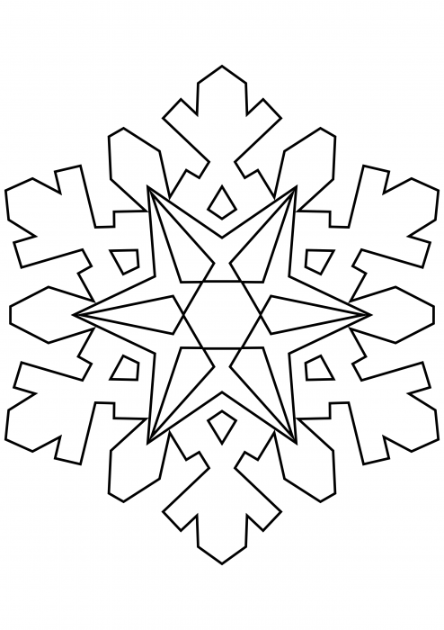 Snowflake 24