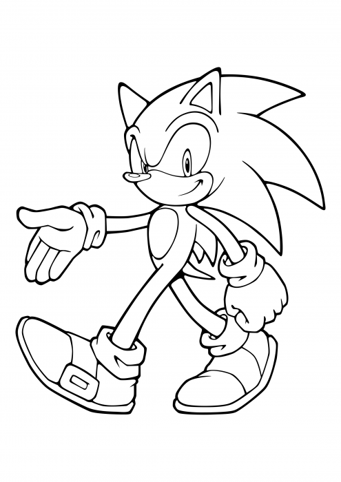 Sonic the Hedgehog houdt van vrijheid