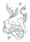 The little mermaid hugs the Flounder fish