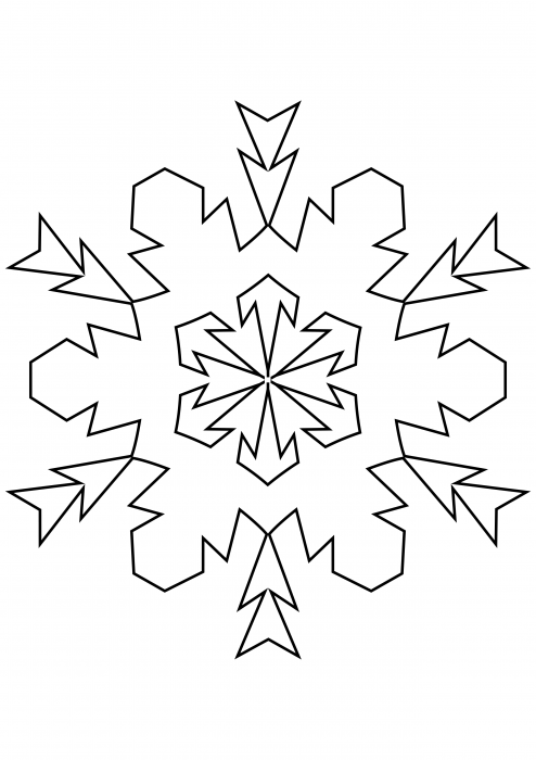 Snowflake 51