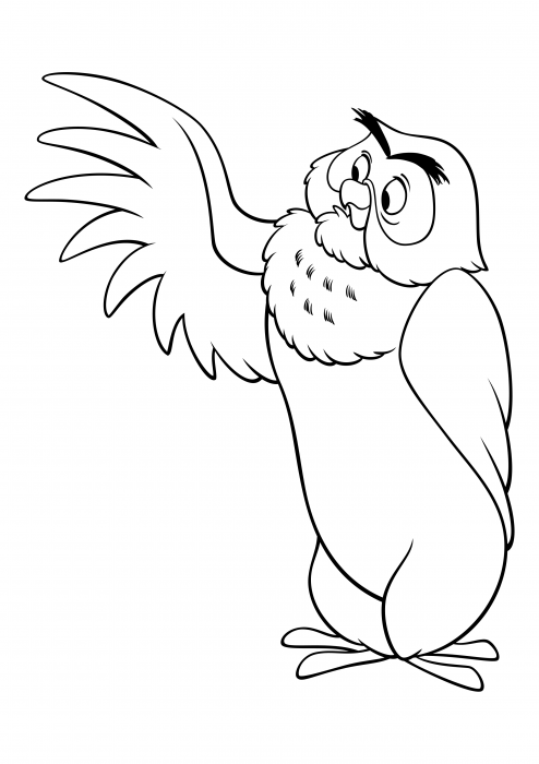 Wise Owl