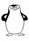 Penguin Skipper