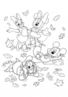 Daisy, Minnie, Donald și Mickey
