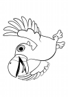 Oxpecker Bird Otis