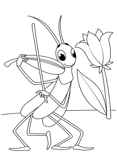 The grasshopper plays the violin