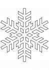 Snowflake 31