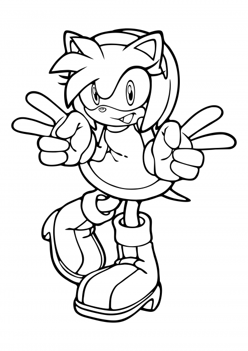 Livro de Colorir Personalizado - Amy Rose - Sonic