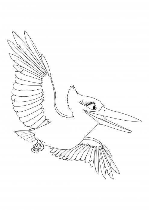 Kingfisher Kiki