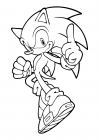 Fast Sonic the Hedgehog