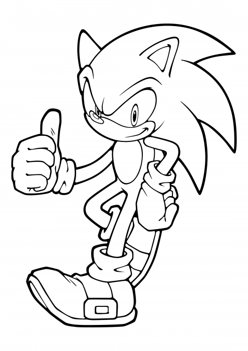 Sonic the Hedgehog-모든 것이 정돈되어 있습니다.