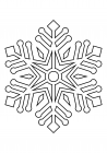 Snowflake 61