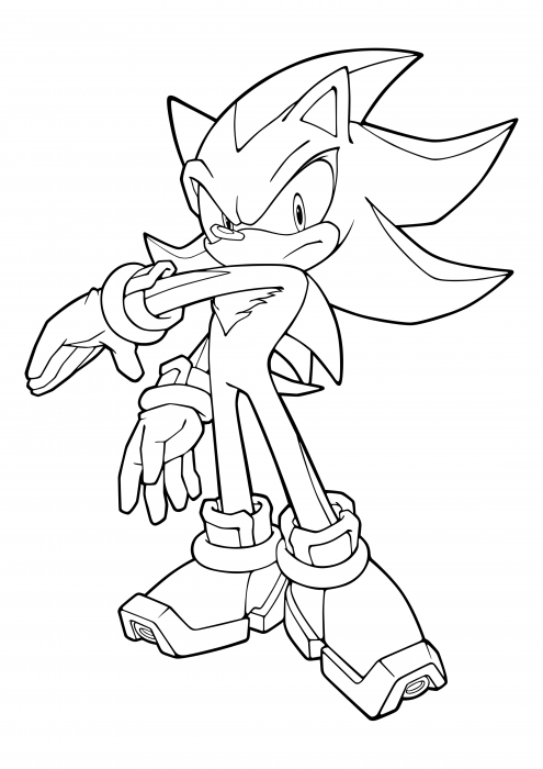 Desenhos do Shadow the Hedgehog para Colorir  Shadow the hedgehog, Imagens  de sombra, Desenhos para colorir